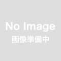 クリスマスツリー 90cm / 150cm / 180cm おしゃれ 北欧 スリム 松ぼっくり 付き 松かさツリー リアル ヌードツリー ドイツトウヒ ツリー スリムツリー オーナメント なし 2026年