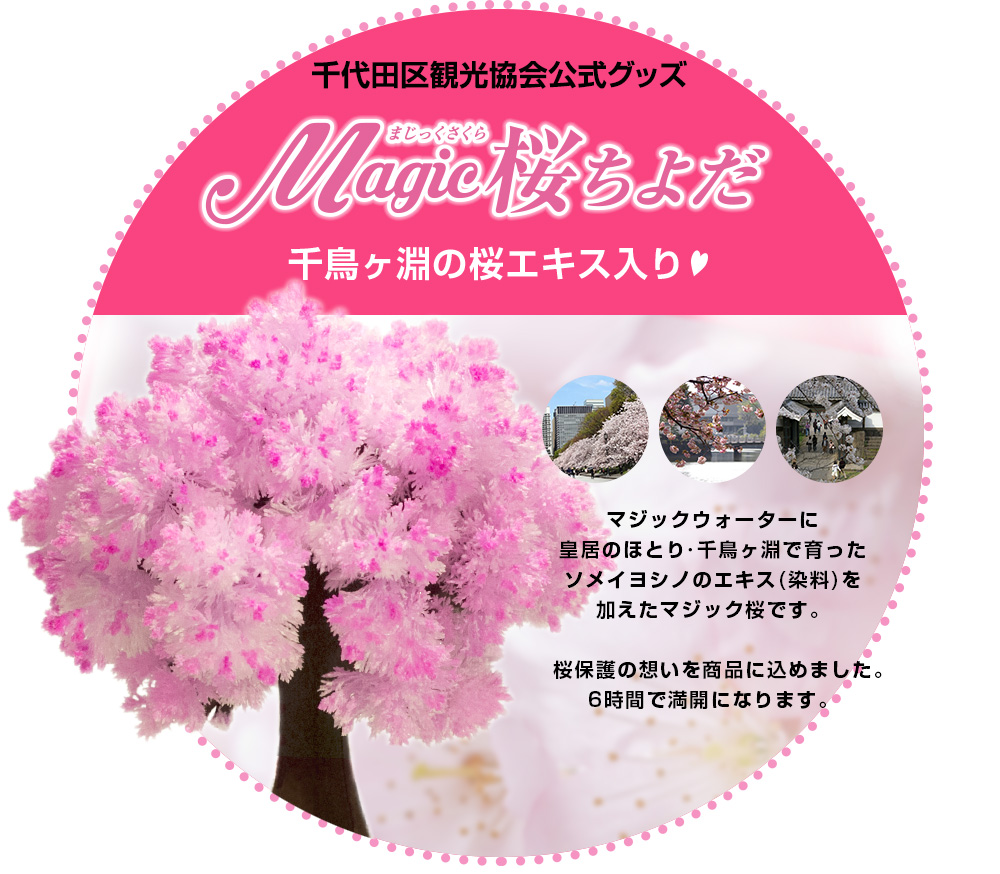 Magic桜ちよだ